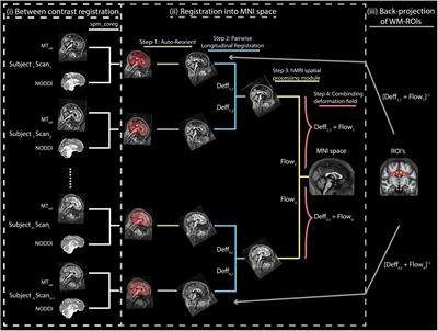 The Influence of Radio-Frequency Transmit Field Inhomogeneities on the Accuracy of G-ratio Weighted Imaging